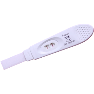 임신테스트기, 배란일테스트기